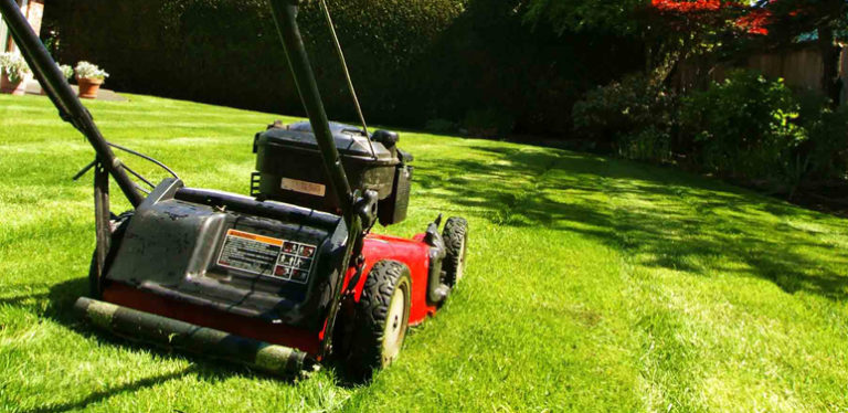 Lawn Care