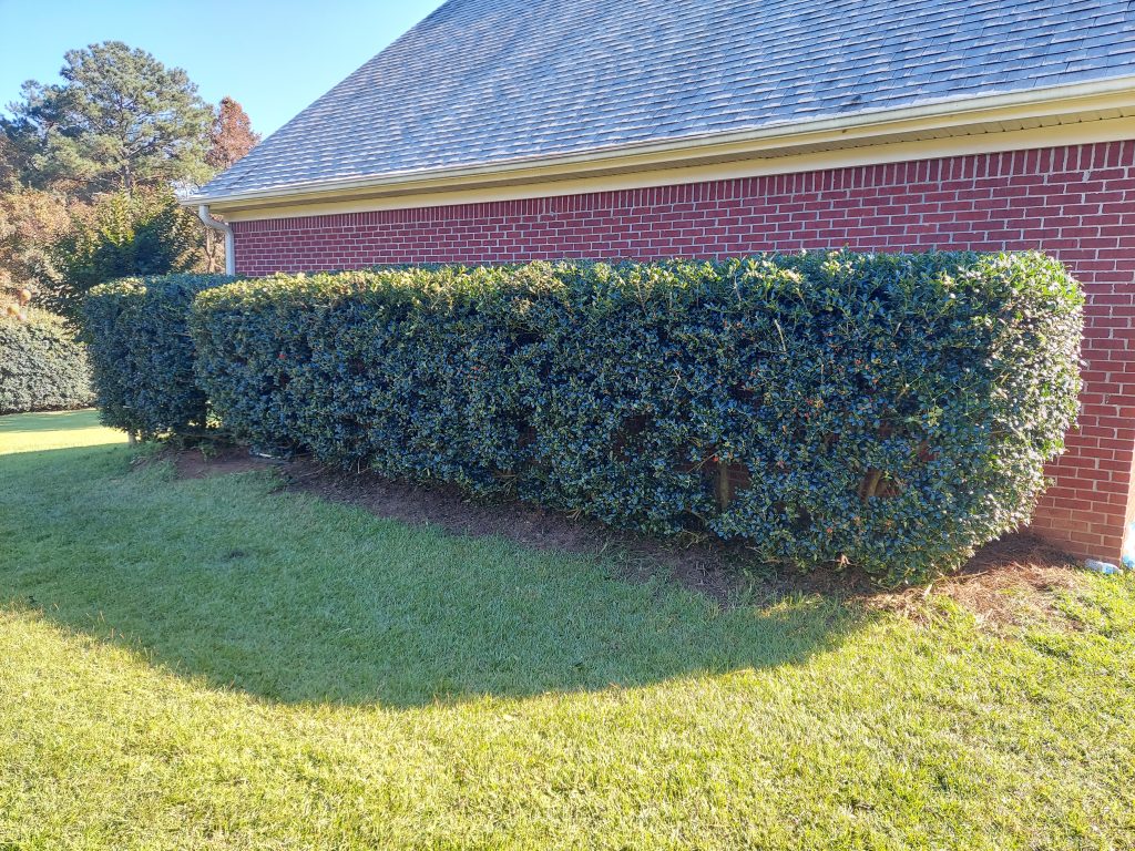 1309