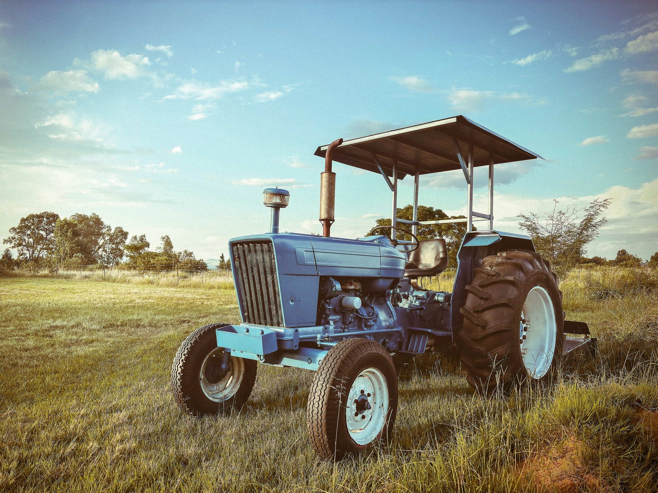 Griffin, McDonough, and Hampton bush hogging